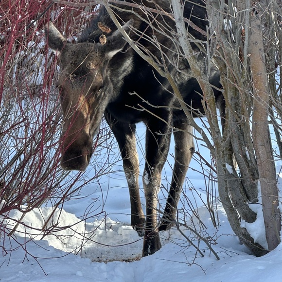 Meet your Posher, Shannon - Picture 9 of 17